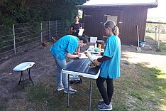 Zwei junge Frauen behandeln ein Huhn auf einem Behandlungstisch im Freien. Klick zu Großansicht im neuen Fenster. 