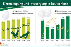 Statistik: Versorgungsbilanz Eier - Schwierige Marktlage bei gesicherter Versorgung