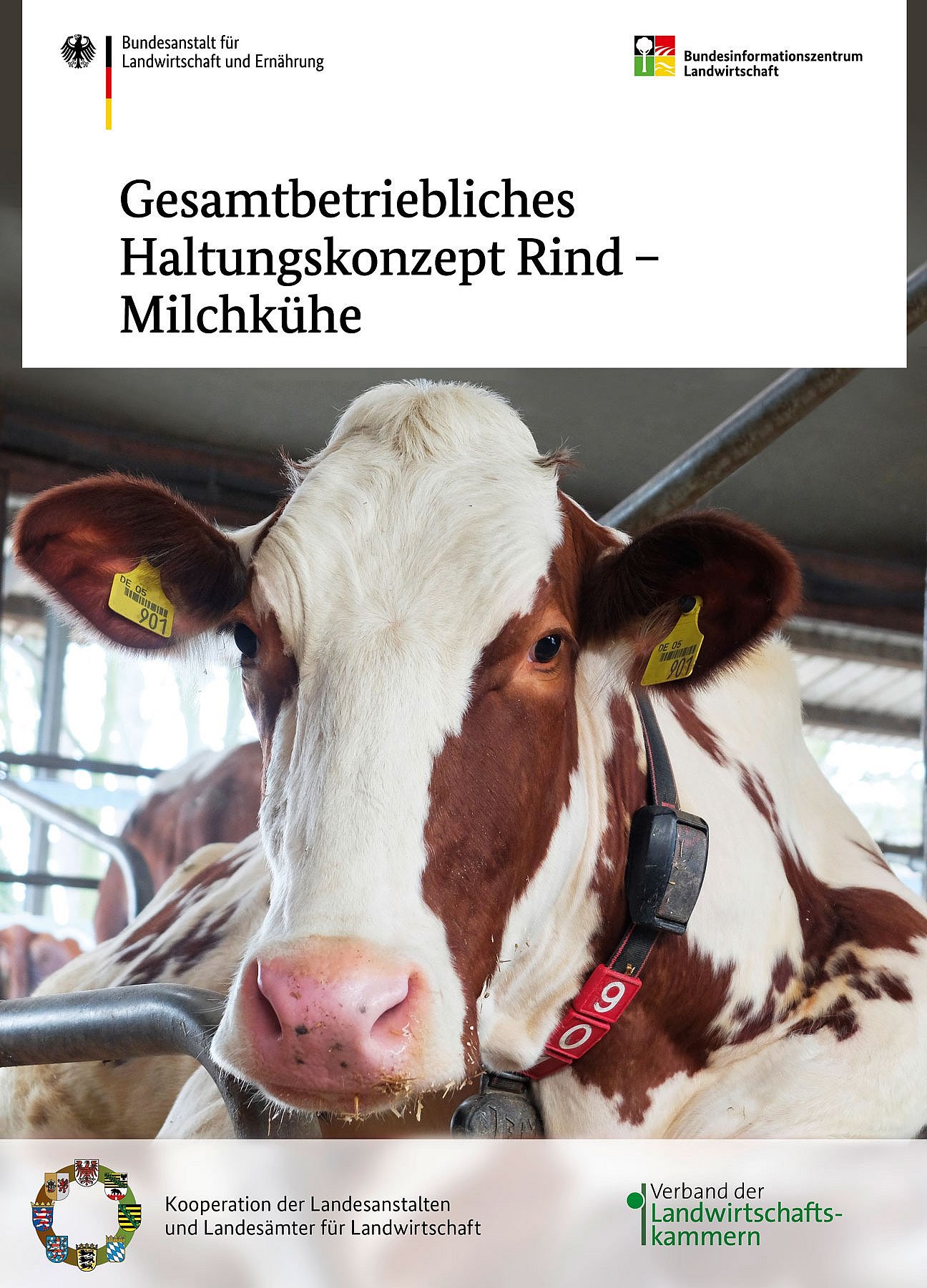 Das Bild zeigt die BZL-Broschüre "Gesamtbetriebliches Haltungssystem Rind - Milchkühe". 