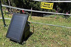 Herdenschutz bei Dürre