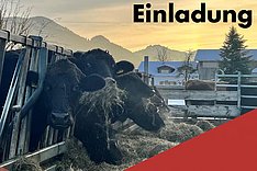 Klick öffnet Einladung MuD Tierschutz: Online-Seminar Hofnahe Schlachtung