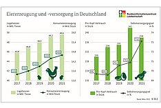 Grafik zur Eiererzeugung und -versorgung in Deutschland