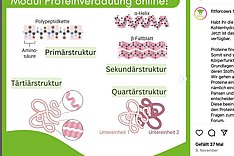 Schemazeichnung zur Proteinverdauung - Quelle fitforcows