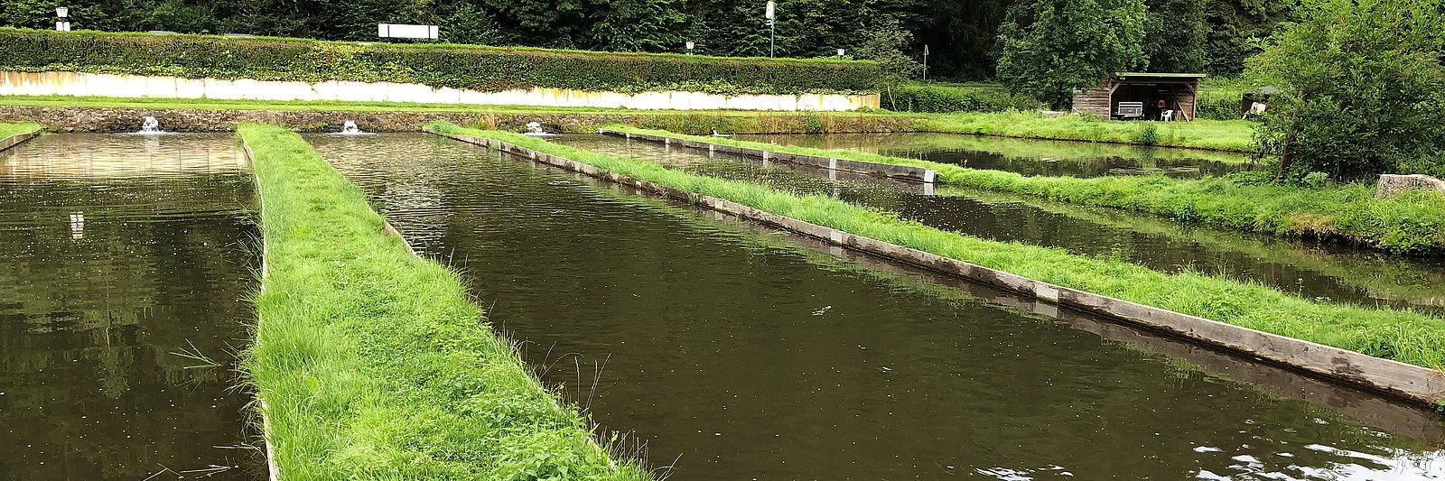 Forellenteiche in Deutschland. Bild: Dorothe Heidemann