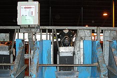 BUNTH: Methanreduzierung in der Milchproduktion durch ruminale Wasserstoffsenken (Hase)