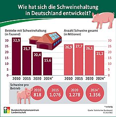 Grafik zur Schweinehaltung. Klick führt zu Großansicht im neuen Fenster. 