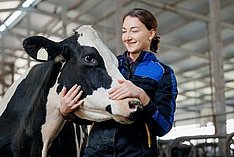 Eine Landwirtin hält den Kopf einer schwarzbunten Milchkuh. Klick führt zu Großansicht im neuen Fenster. 