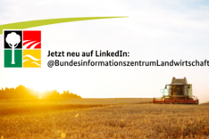 BZL jetzt auch auf LinkedIn