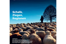 LandInform: Schafe, Ziegen, Regionen