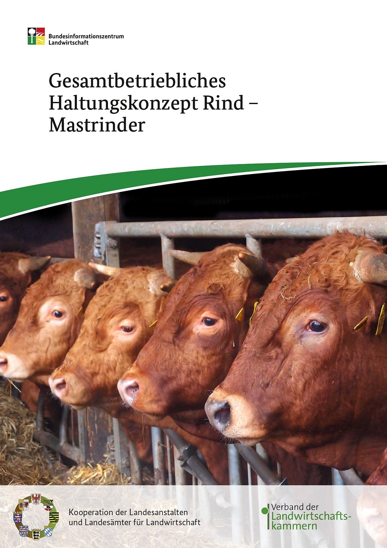 Deckblatt der Broschüre Gesamtbetriebliches Haltungskonzept Rind - Mastrinder