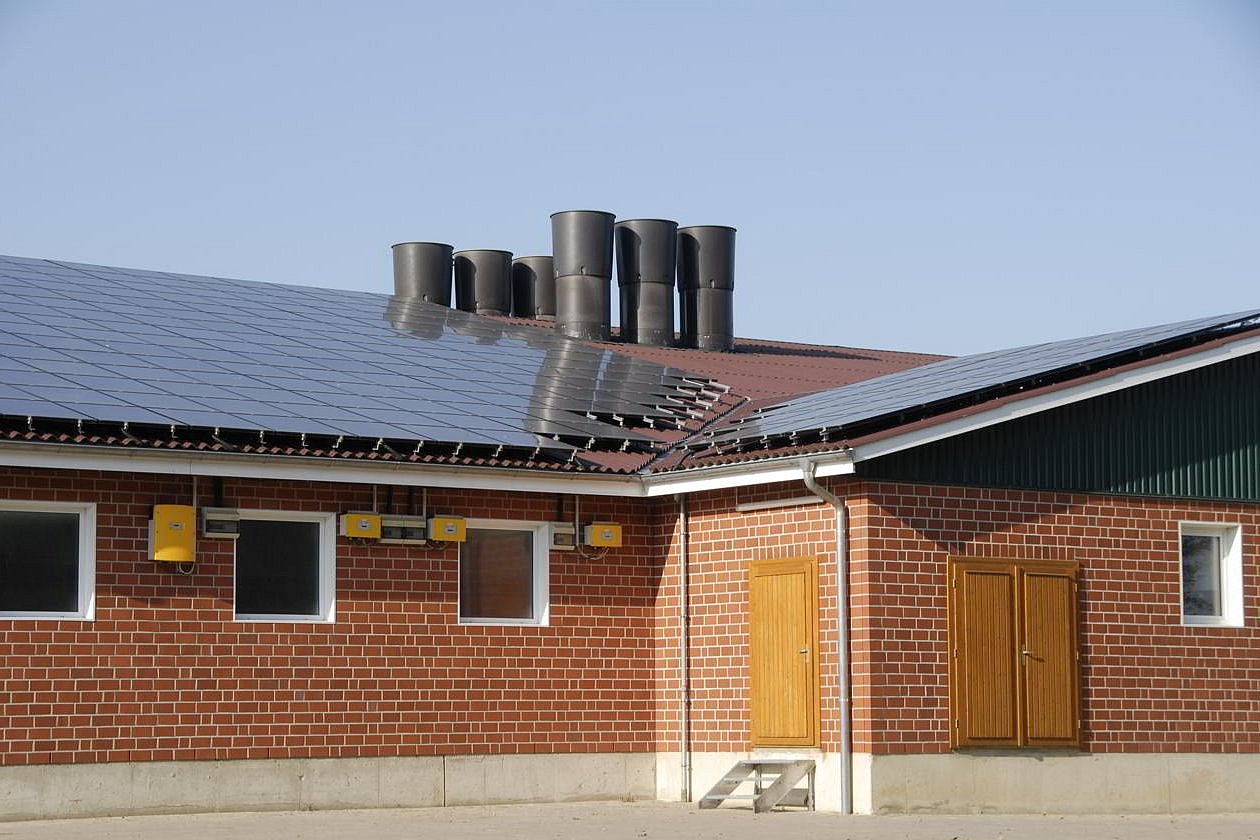 Stallgebäude mit Solarzellen und Abluftschornsteinen auf dem Dach. Klick führt zur Großansicht im neuen Fenster.