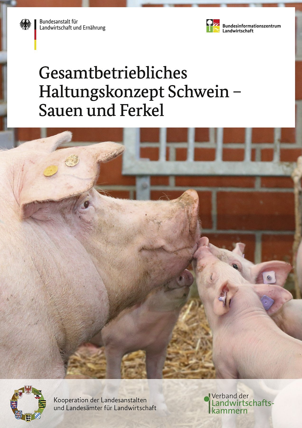 Deckblatt der Broschüre Gesamtbetriebliches Haltungskonzept Schweine - Sau und Ferkel