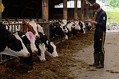 Betriebliche Eigenkontrolle bei Milchvieh