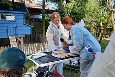 SHIP-NEXT One Health: Tieruntersuchungen abgeschlossen