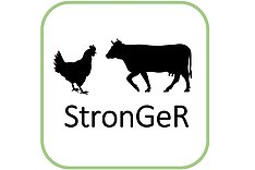 MuD Tierschutz: Abschlussveranstaltung im Projekt StronGer am 30. Oktober 2025