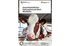 Cover der Broschüre "Gesamtbetriebliches Haltungskonzept Rind - Milchkühe"