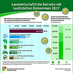 Infografik zu Einkommensverteilung: Klick führt zu Großansicht im neuen Fenster. 