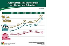 BLE: Jahresbericht über Vieh und Fleisch 2025