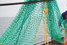 Bekanntmachung zur Entwicklung und Erprobung umweltschonender Fanggeräte und –methoden