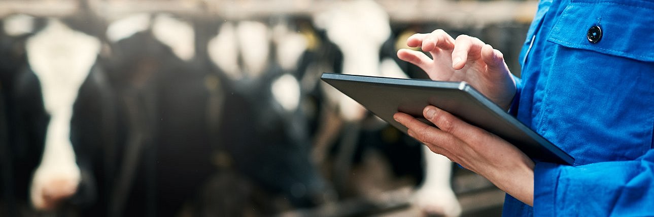 Landwirtin mit Tablet im Stall