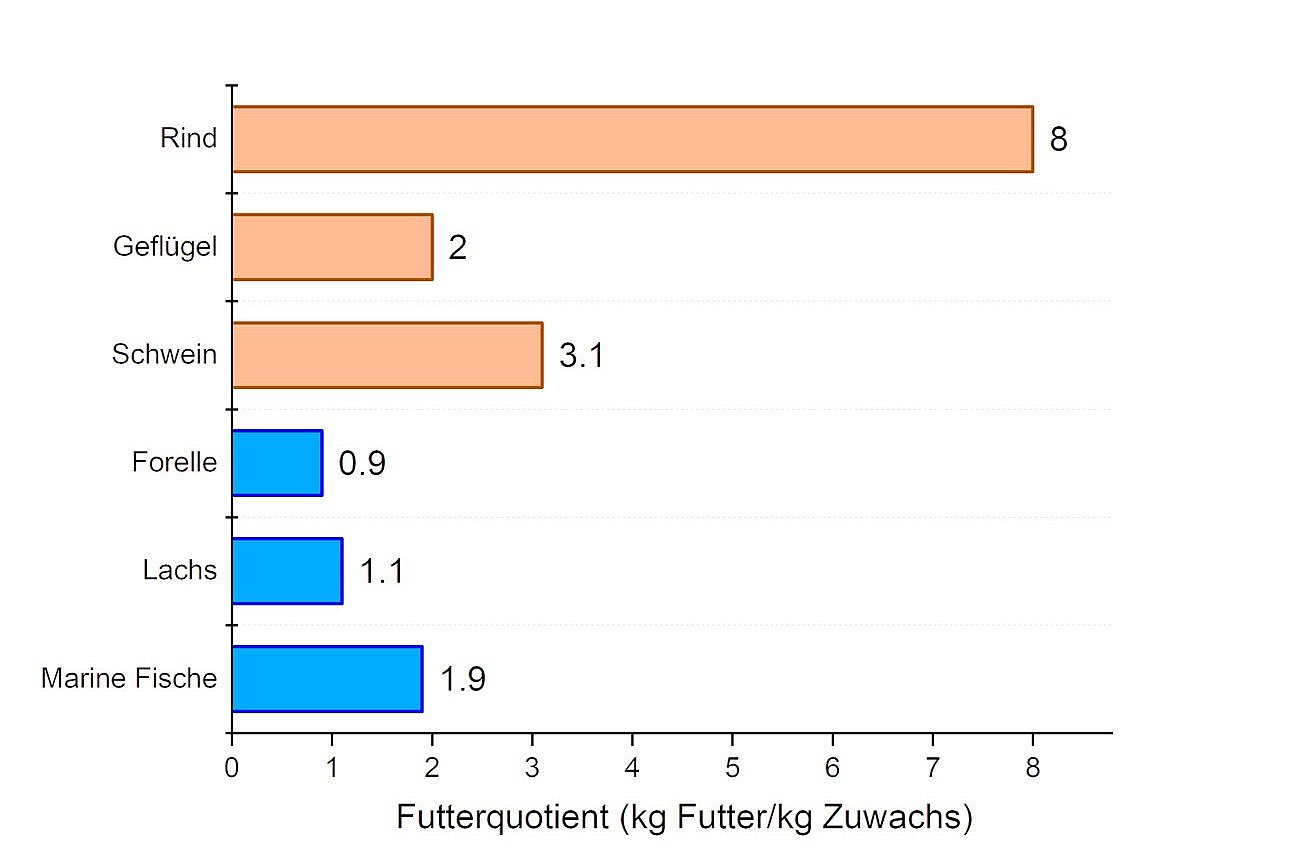 Grafik-Futterquotient-verschiedener-Nutztiere