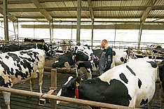 MuD Tierschutz: Verlängerte Laktation zeigt Wirkung - Ergebnispräsentationen online verfügbar