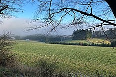 Betriebe gesucht: Drei neue Modell- und Demonstrationsvorhaben „Standort- und klimaangepasste, zukunftsfähige Grünlandwirtschaft“ MuD GLAKTIV