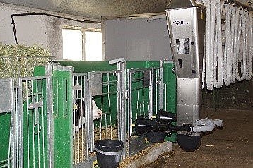 Das Foto zeigt ein automatisches Fütterungssystem für Kälber, mit dem zwei Kälber gleichzeitig mit Milch gefüttert werden können. Klick führt zu Großansicht im neuen Fenster. 